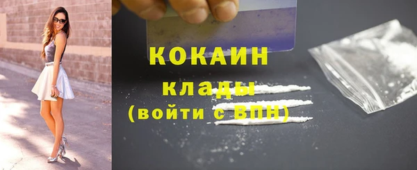 прущие грибы Ладушкин