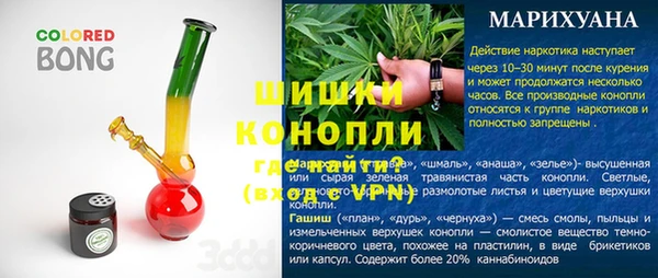 прущие грибы Ладушкин