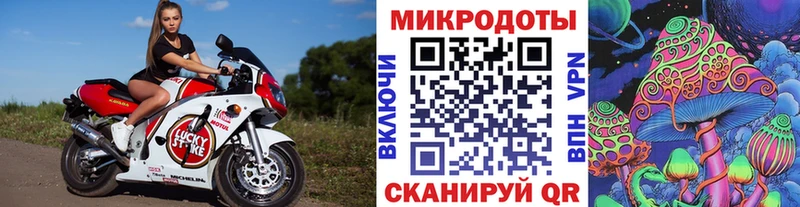 площадка какой сайт  Миллерово  Галлюциногенные грибы Cubensis 
