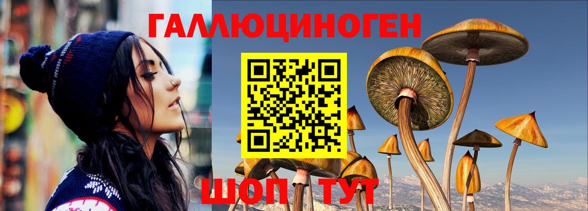 Миллерово  Галлюциногенные грибы GOLDEN TEACHER  Псилоцибиновые грибы ЛСД  Вход с VPN 