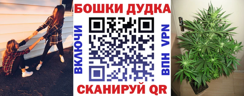 где найти наркотики  Миллерово  Конопля план 
